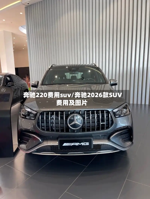 奔驰220费用suv/奔驰2026款SUV费用及图片-第2张图片