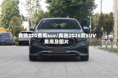 奔驰220费用suv/奔驰2026款SUV费用及图片