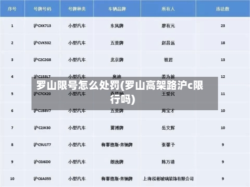 罗山限号怎么处罚(罗山高架路沪c限行吗)