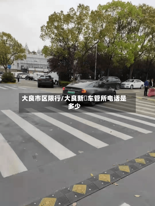 大良市区限行/大良新滘车管所电话是多少
