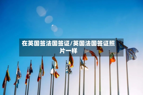 在英国签法国签证/英国法国签证照片一样-第2张图片