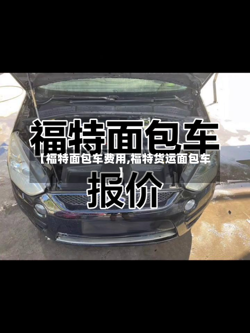 【福特面包车费用,福特货运面包车】