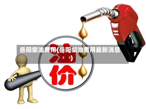 岳阳柴油费用(岳阳柴油费用最新消息)-第2张图片