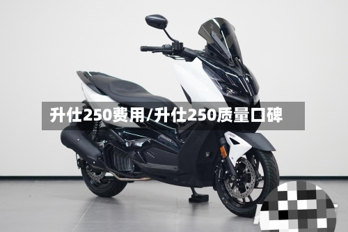 升仕250费用/升仕250质量口碑