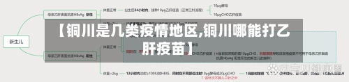 【铜川是几类疫情地区,铜川哪能打乙肝疫苗】