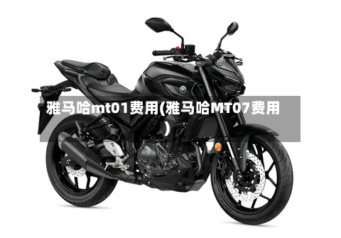 雅马哈mt01费用(雅马哈MT07费用)-第3张图片