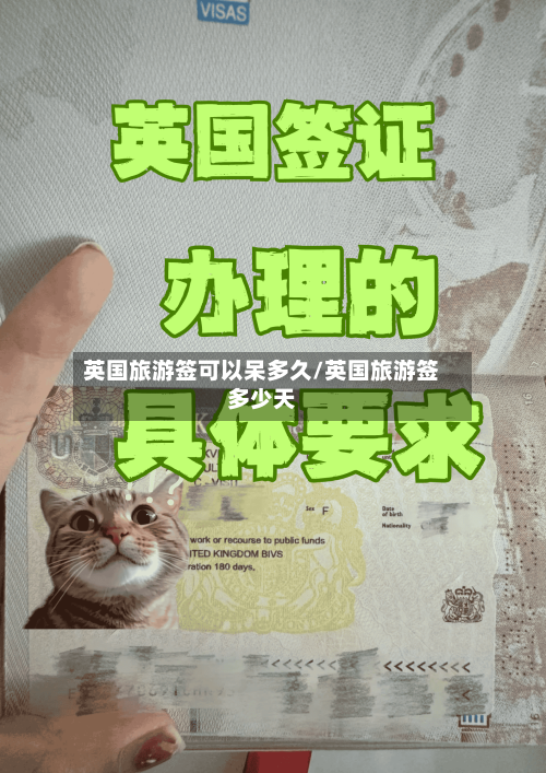英国旅游签可以呆多久/英国旅游签多少天-第2张图片