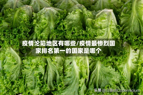 疫情沦陷地区有哪些/疫情最惨烈国家排名第一的国家是哪个
