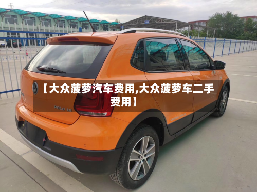 【大众菠萝汽车费用,大众菠萝车二手费用】-第2张图片