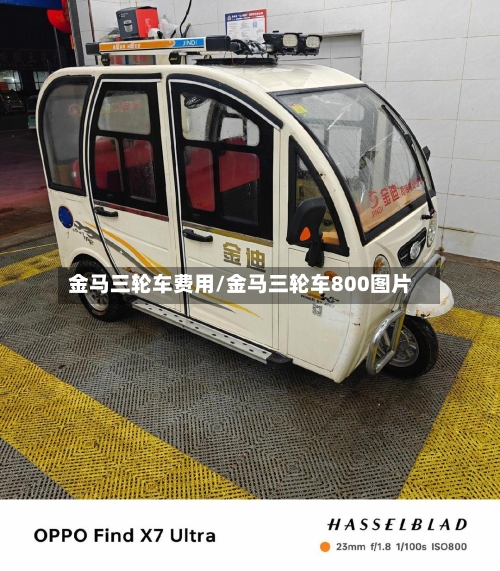 金马三轮车费用/金马三轮车800图片-第2张图片