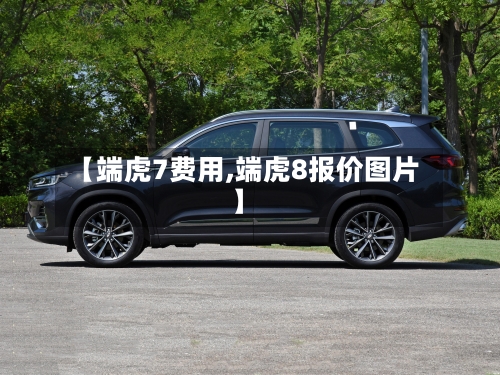 【端虎7费用,端虎8报价图片】-第3张图片