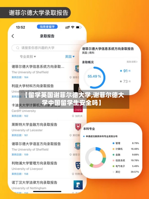 【留学英国谢菲尔德大学,谢菲尔德大学中国留学生安全吗】-第3张图片