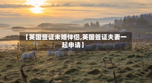 【英国签证未婚伴侣,英国签证夫妻一起申请】-第2张图片
