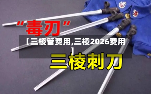 【三棱管费用,三棱2026费用】-第3张图片