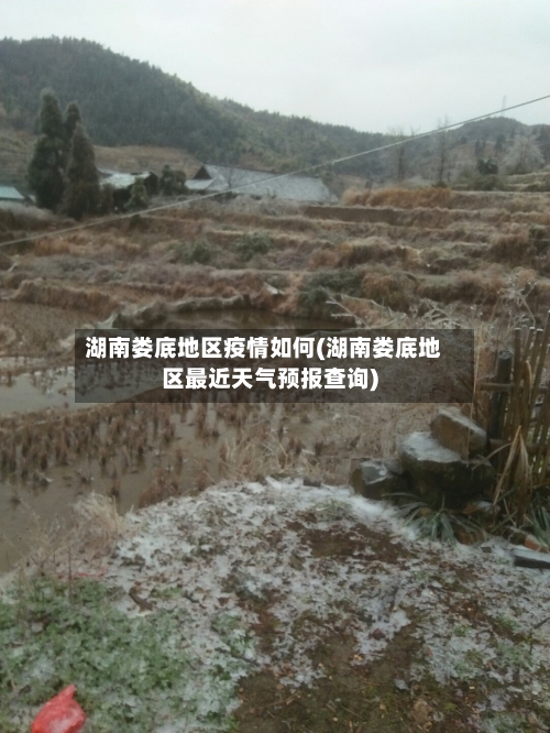 湖南娄底地区疫情如何(湖南娄底地区最近天气预报查询)