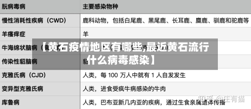 【黄石疫情地区有哪些,最近黄石流行什么病毒感染】-第2张图片