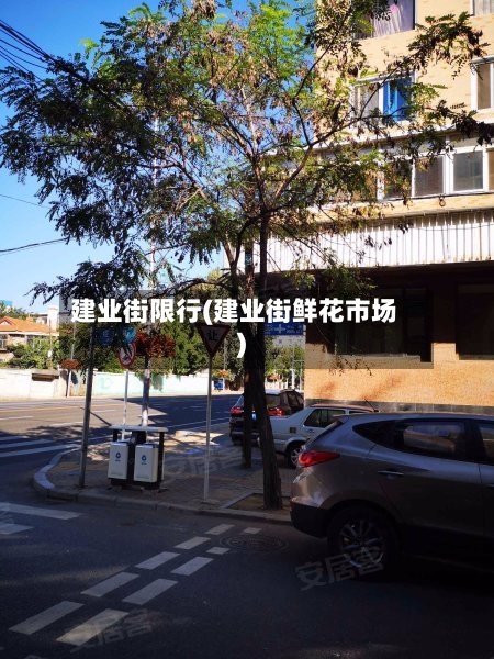 建业街限行(建业街鲜花市场)-第2张图片