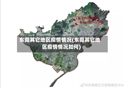 东莞其它地区疫情情况(东莞其它地区疫情情况如何)