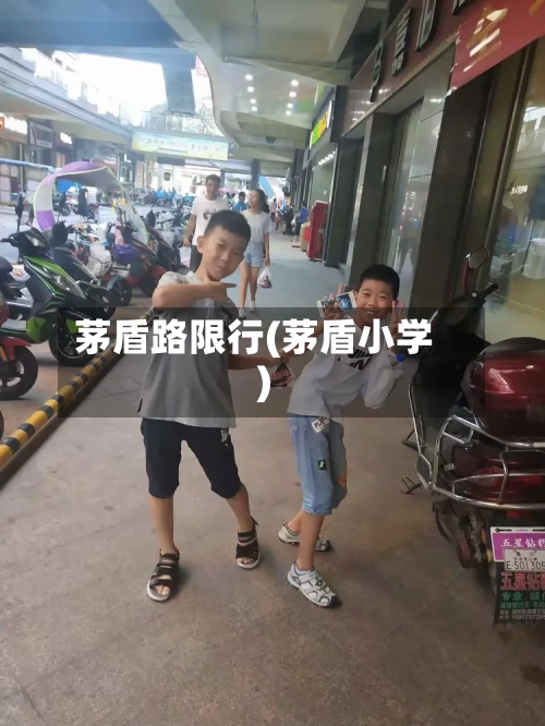 茅盾路限行(茅盾小学)