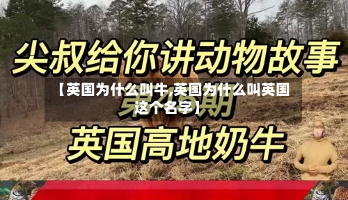 【英国为什么叫牛,英国为什么叫英国这个名字】