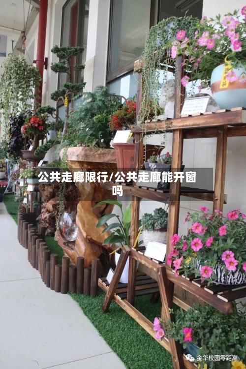 公共走廊限行/公共走廊能开窗吗