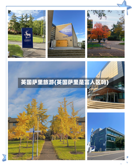 英国萨里旅游(英国萨里是富人区吗)