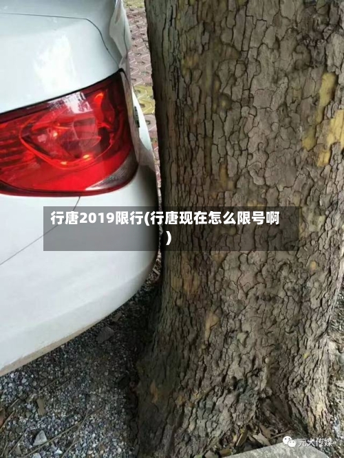 行唐2019限行(行唐现在怎么限号啊)