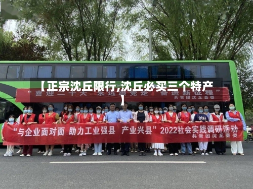 【正宗沈丘限行,沈丘必买三个特产】-第3张图片