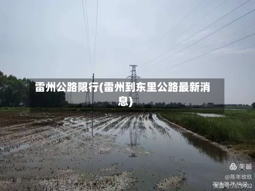 雷州公路限行(雷州到东里公路最新消息)-第3张图片