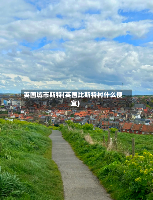 英国城市斯特(英国比斯特村什么便宜)