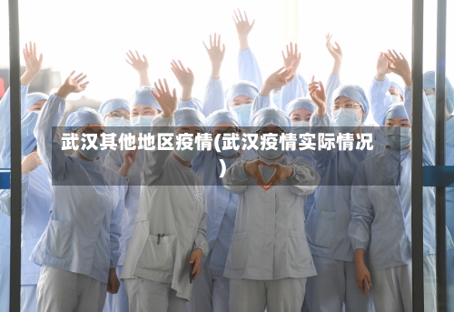 武汉其他地区疫情(武汉疫情实际情况)