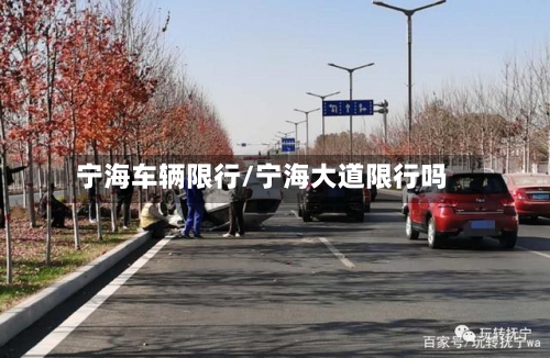 宁海车辆限行/宁海大道限行吗-第2张图片