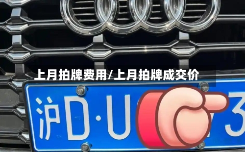 上月拍牌费用/上月拍牌成交价-第3张图片