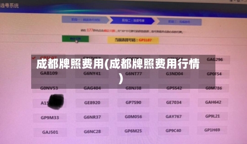 成都牌照费用(成都牌照费用行情)-第2张图片