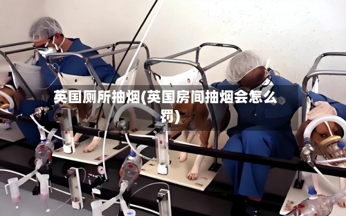 英国厕所抽烟(英国房间抽烟会怎么罚)-第3张图片