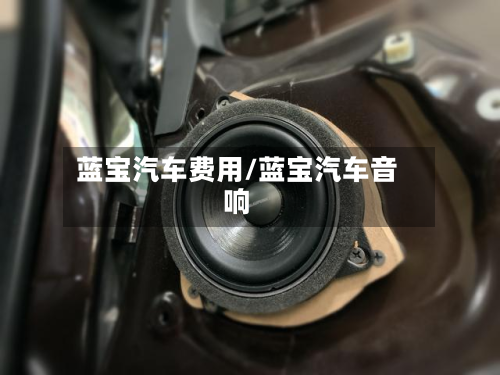 蓝宝汽车费用/蓝宝汽车音响-第2张图片