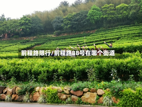 前程路限行/前程路88号在哪个街道