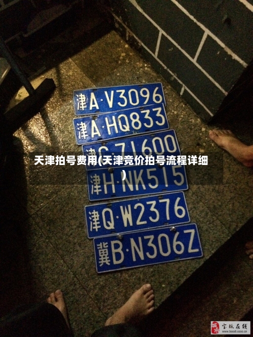 天津拍号费用(天津竞价拍号流程详细)-第2张图片
