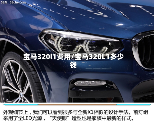 宝马320l1费用/宝马320L1多少钱-第2张图片
