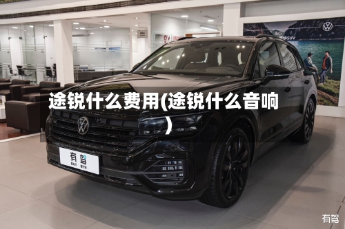 途锐什么费用(途锐什么音响)-第3张图片