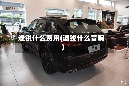 途锐什么费用(途锐什么音响)