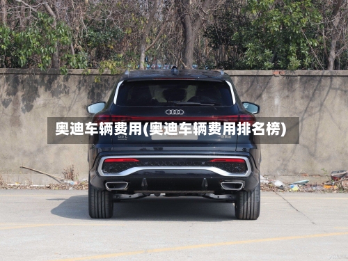 奥迪车辆费用(奥迪车辆费用排名榜)