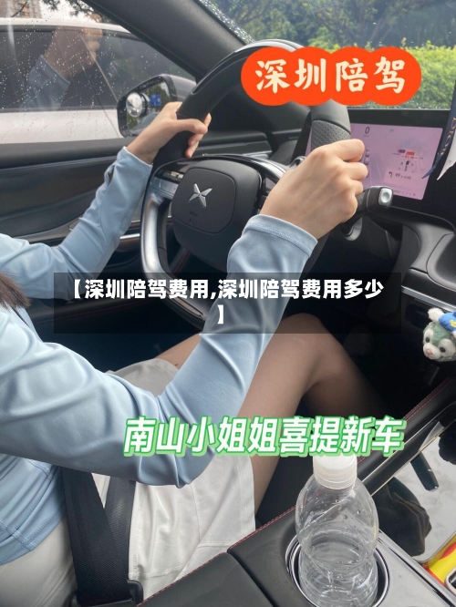 【深圳陪驾费用,深圳陪驾费用多少】-第2张图片
