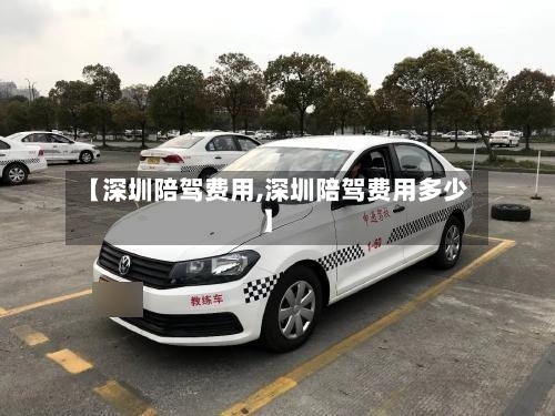 【深圳陪驾费用,深圳陪驾费用多少】-第3张图片