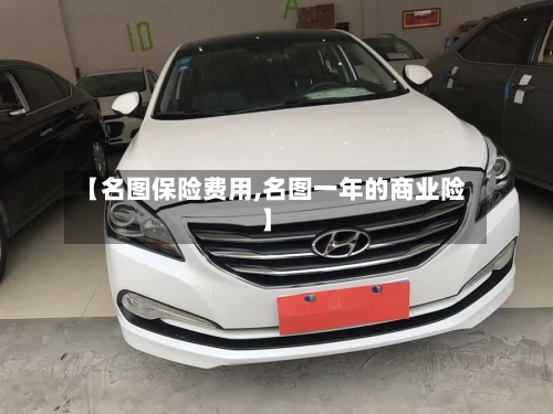 【名图保险费用,名图一年的商业险】-第3张图片