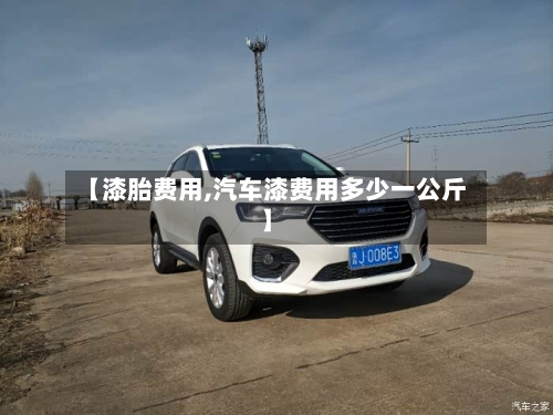 【漆胎费用,汽车漆费用多少一公斤】