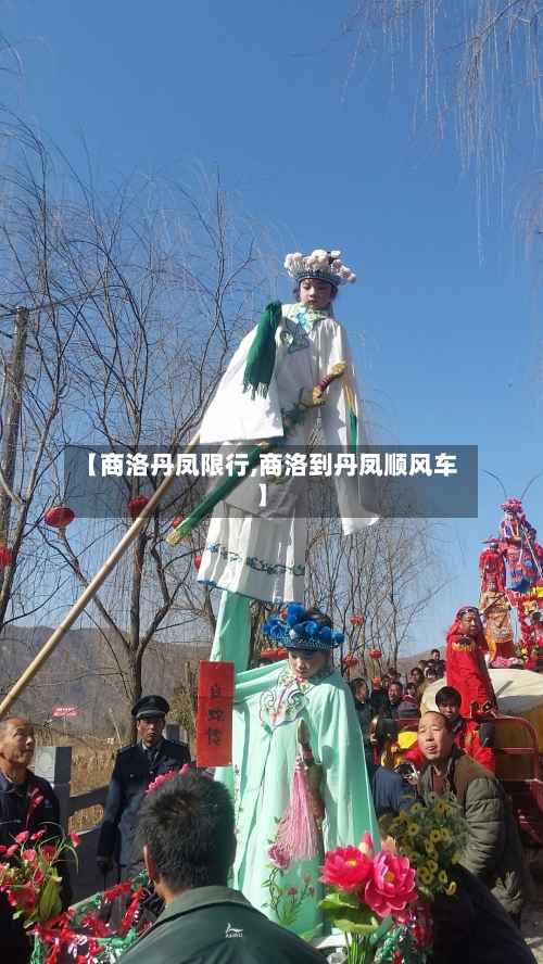 【商洛丹凤限行,商洛到丹凤顺风车】