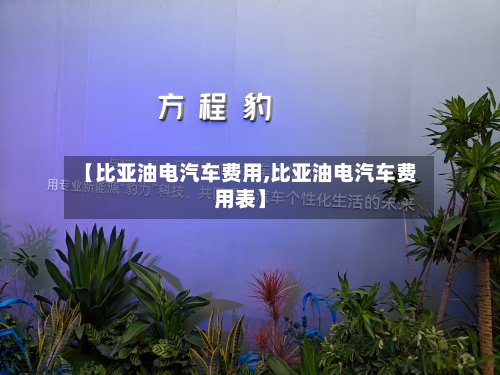 【比亚油电汽车费用,比亚油电汽车费用表】