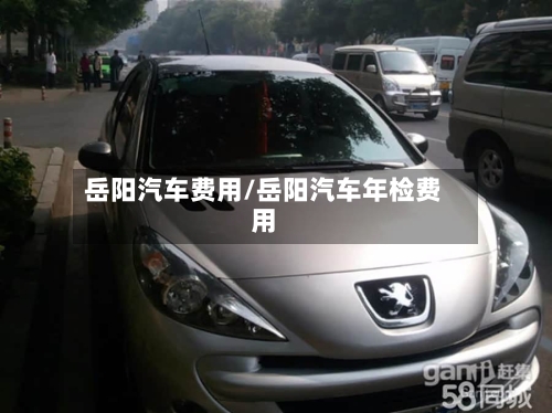 岳阳汽车费用/岳阳汽车年检费用