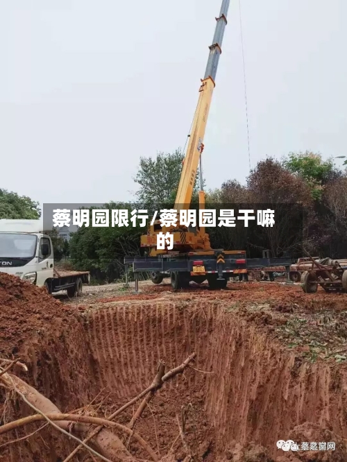 蔡明园限行/蔡明园是干嘛的